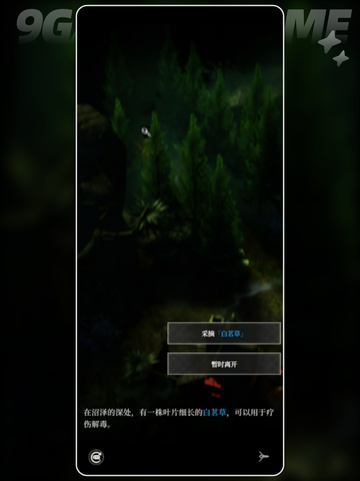 地下城堡4白茗草获取攻略✨超简单方法💎截图5