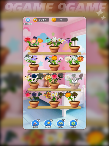 🌸鲜花满屋公测时间曝光！限时上线倒计时⏳截图4