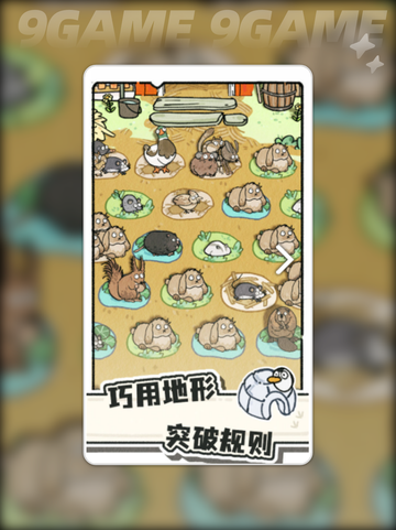 🐾猫神牧场下载攻略来啦！🎮截图2
