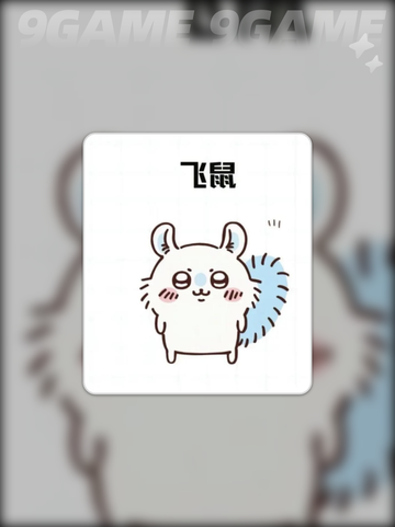 口袋吉伊卡哇莫莫咖剧情介绍介绍截图3
