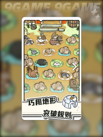 💥猫神牧场价格大揭秘！💰截图2