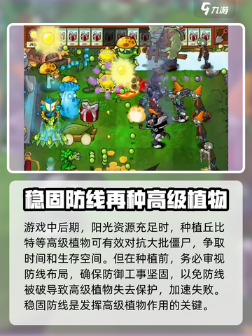 植物大战僵尸：丘比特之箭🔥过关秘籍🎉截图4