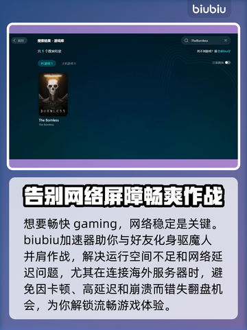 TheBornless加速器哪款好？玩游戏不卡必备🔥🎮截图2