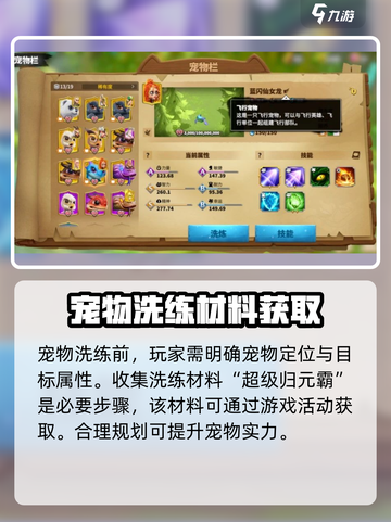 万龙觉醒宠物洗练攻略介绍截图2