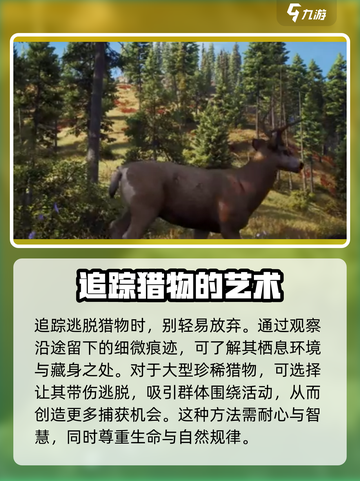 猎人之路🔥新手必看！轻松入门攻略🎉截图4