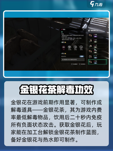 七日世界🔥金银花位置大揭秘！📌截图4