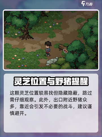 大侠立志传🔥迷踪林灵芝位置全揭秘！截图5