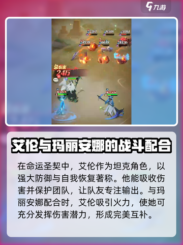 命运圣契🔥玛丽安娜最强阵容搭配攻略来啦！截图3