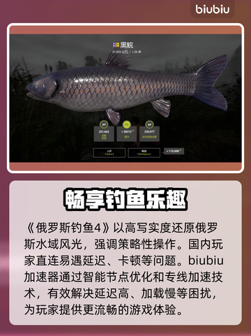 俄罗斯钓鱼4🔥加速器推荐，稳定不掉线🎉截图2