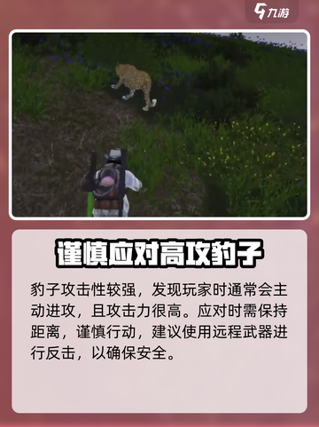 七日世界豹子在哪介绍截图4