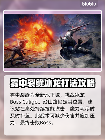 艾尔登法环🔥黑夜君临雾中裂缝通关攻略💎截图2