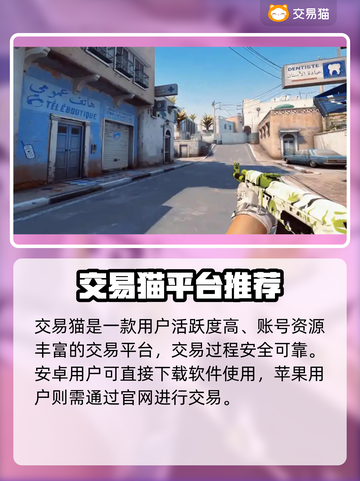 🔥CSGO账号交易全攻略！💎平台大比拼截图2