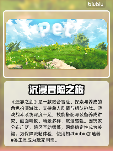 🔥《遗忘之剑》加速器推荐！告别闪退卡顿延迟✨截图2