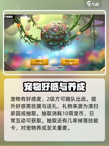 万龙觉醒🔥宠物养成秘籍大公开！💡截图5
