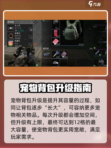 萤火突击💥宠物背包升级秘籍🔥背包容量轻松提升！截图2