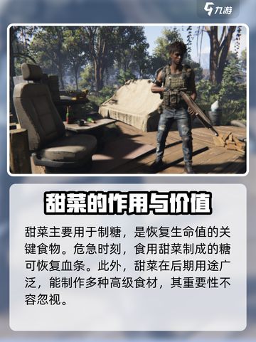 七日世界手游哪有甜菜介绍截图3