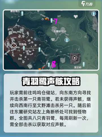 🎮鸣潮青羽鹭讨伐路线曝光！速看声骸攻略截图2