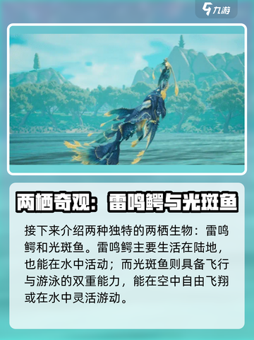 《创造吧！星球水陆两栖生物大揭秘🌊》截图5