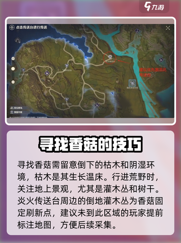 荒野起源💡香菇获取秘籍，快速入手攻略！截图2