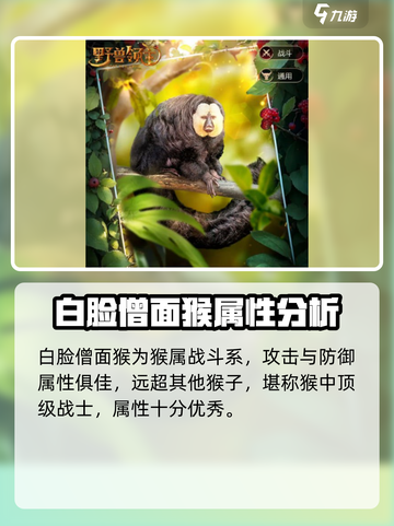 野兽领主新世界白脸僧面猴强吗介绍截图2