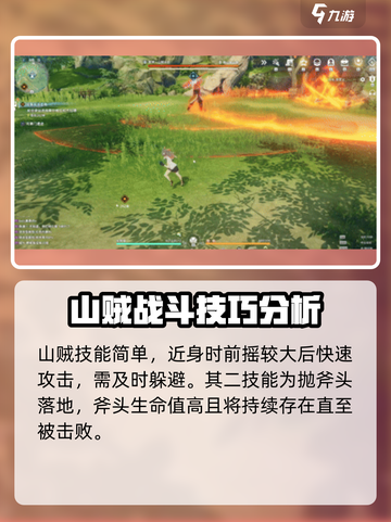 星痕共鸣山贼头目怎么打介绍截图3