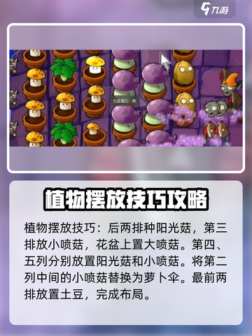 植物大战僵尸抽卡版小游戏怎么玩介绍截图5