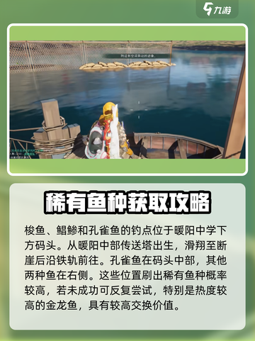 七日世界金龙鱼怎么获得介绍截图4