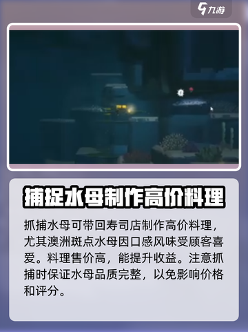 潜水员戴夫水母怎么抓介绍截图5