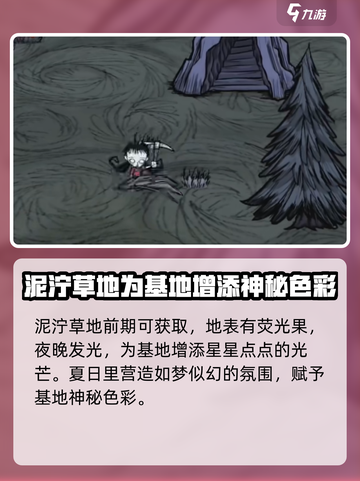 饥荒联机版好看的地皮有哪些介绍截图2