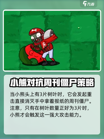 植物大战僵尸抽卡版小熊🔥超全介绍来啦！截图5