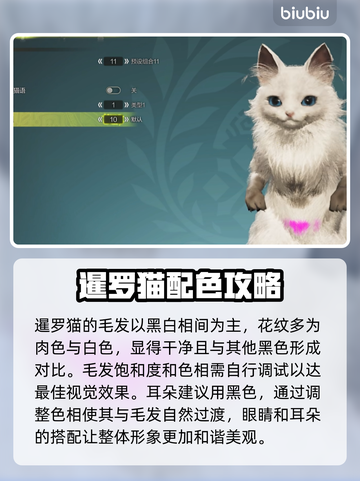 怪物猎人荒野🔥超萌暹罗猫捏脸教程分享！截图2