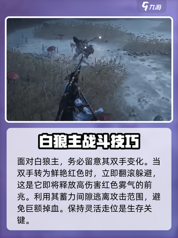 燕云十六声白狼主打法攻略介绍截图2
