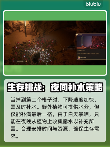 沙丘觉醒：生存机制大揭秘！🎮🔥截图3