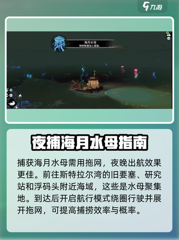 渔帆暗涌水母抓捕🔥超简单攻略来啦！截图2
