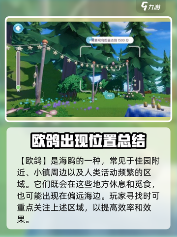 心动小镇🔥海鸥位置大揭秘！快来捕捉✨截图4