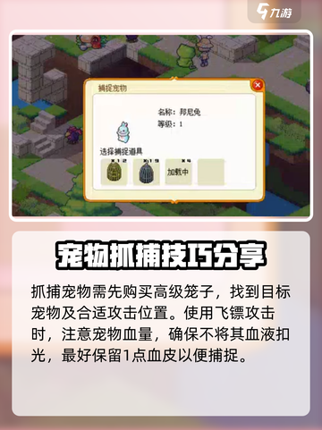 皮卡堂怎么捕捉宠物介绍截图3