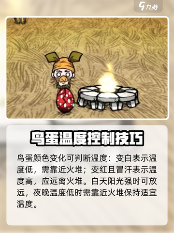 饥荒联机版高脚鸟蛋怎么孵化介绍截图4