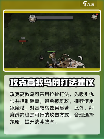 饥荒新家园🔥高教鸟打法详解，轻松取胜⚡截图3