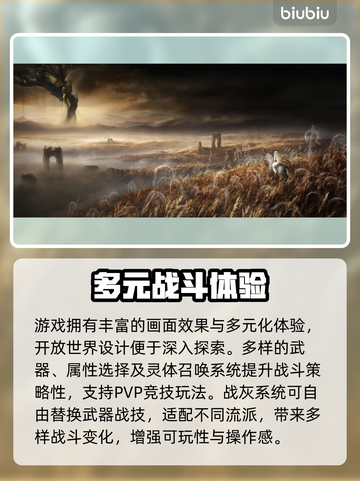 🔥艾尔登法环闪退？速用加速器解决！💥截图2