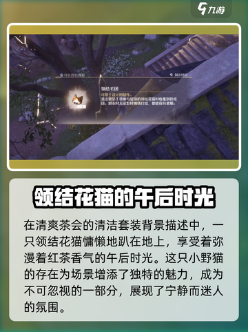 无限暖暖领结花猫在哪介绍截图4