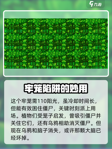 植物大战僵尸：惩戒牢笼🔥超强攻略来啦！截图3