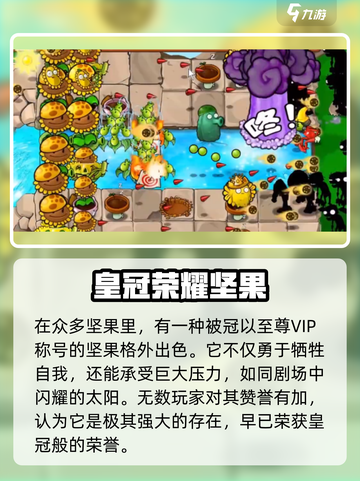 植物大战僵尸：至尊VIP坚果🔥超强作用揭秘！截图3