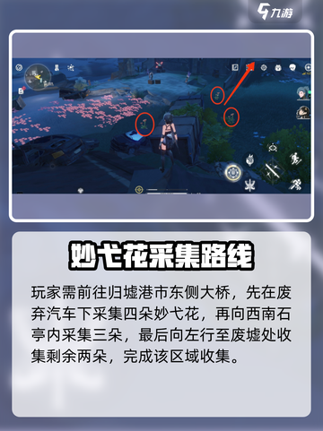 🎮鸣潮妙弋花全采集点曝光！截图2