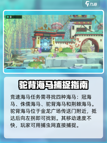 潜水员戴夫竞速海马位置介绍截图2