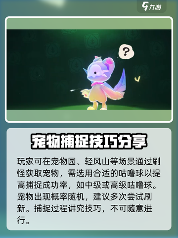 洛克王国手游喵喵捕捉时间🔥抢先知晓！🎮截图3