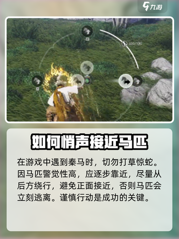燕云十六声秦马如何抓捕介绍截图2