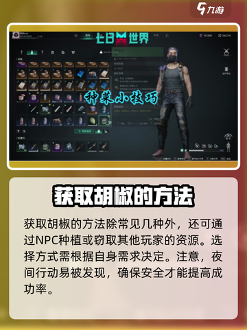 七日世界胡椒刷新点在哪里介绍截图4