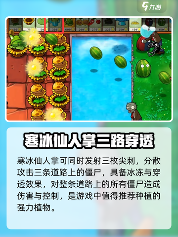 🎮植物大战僵尸杂交版寒冰仙人掌太强了！💥截图3