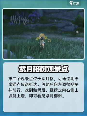 鸣潮🔥无光森林观景点位置大曝光！快来打卡🎮截图3