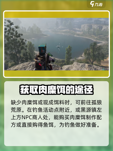 七日世界🔥鱼类大揭秘！钓鱼达人必看🐠截图8